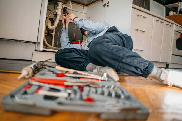 Best Leak Detection Services  in Chatsworth, IL