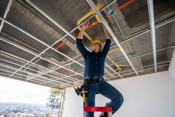 Best Clogged Drain Plumber  in Chatsworth, IL